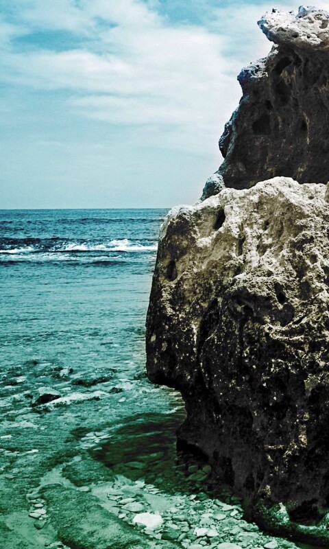 Коралловый риф обои