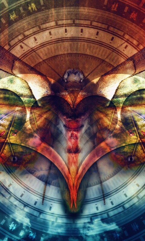 Красивая фэнтезийная бабочка обои