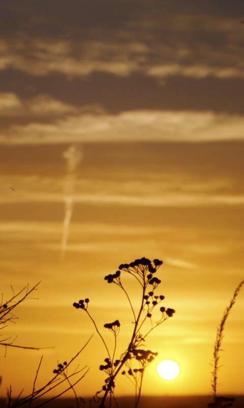 Степной закат обои