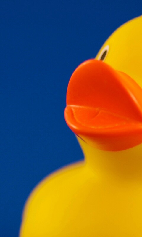 Резиновый утенок обои