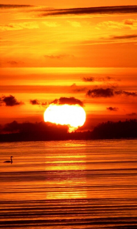 Великолепный рассвет обои