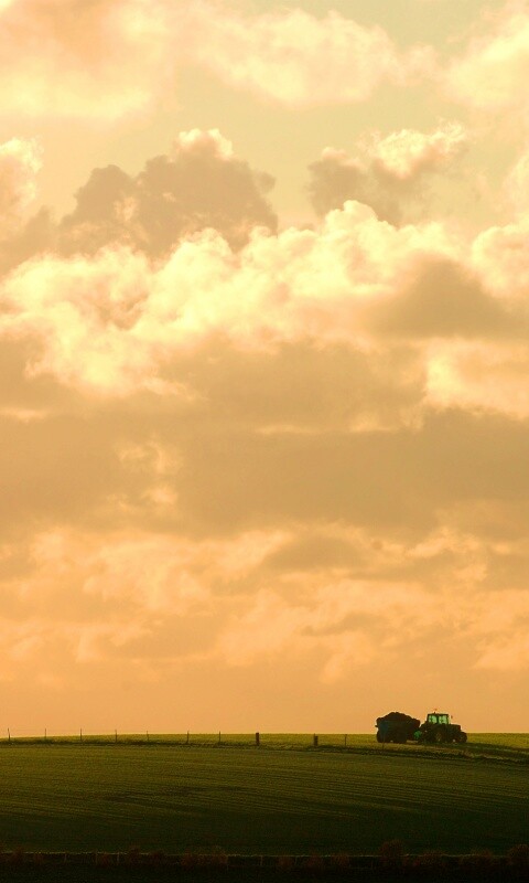 Прекрасный день обои