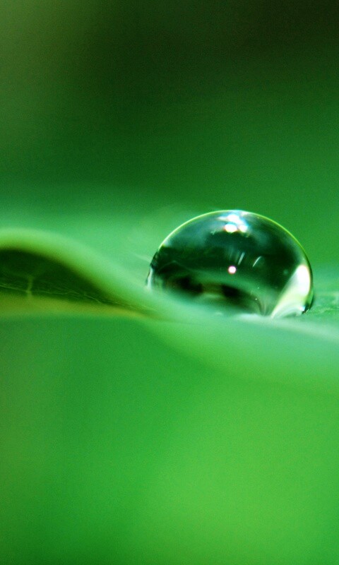 Фотография капли воды в макро обои