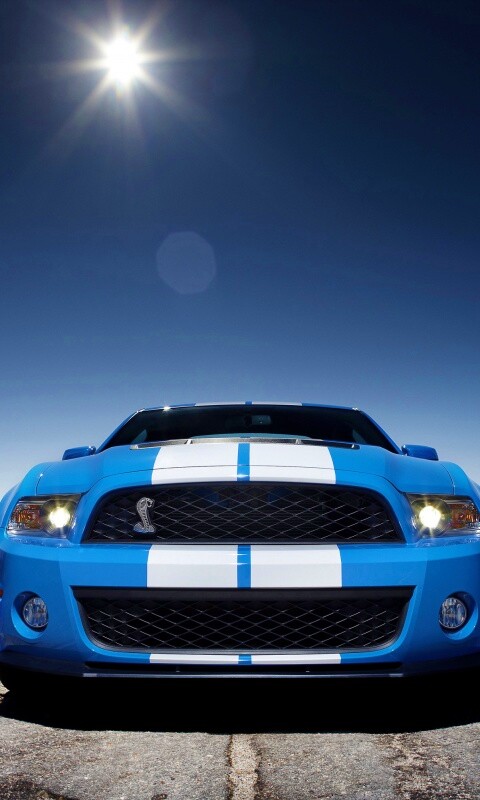 Форд Шелби обои