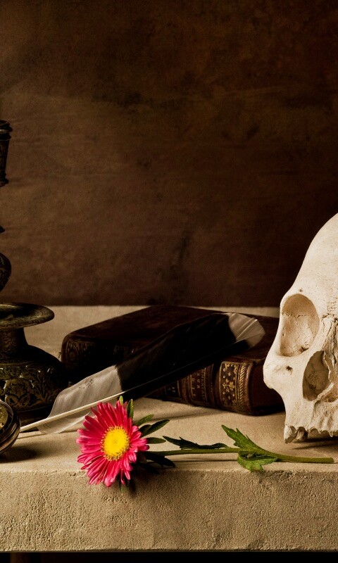 Проблеск в темноте обои