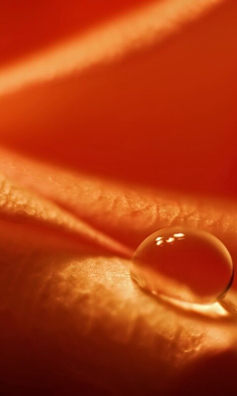 Капелька обои