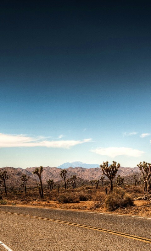 Поворот обои