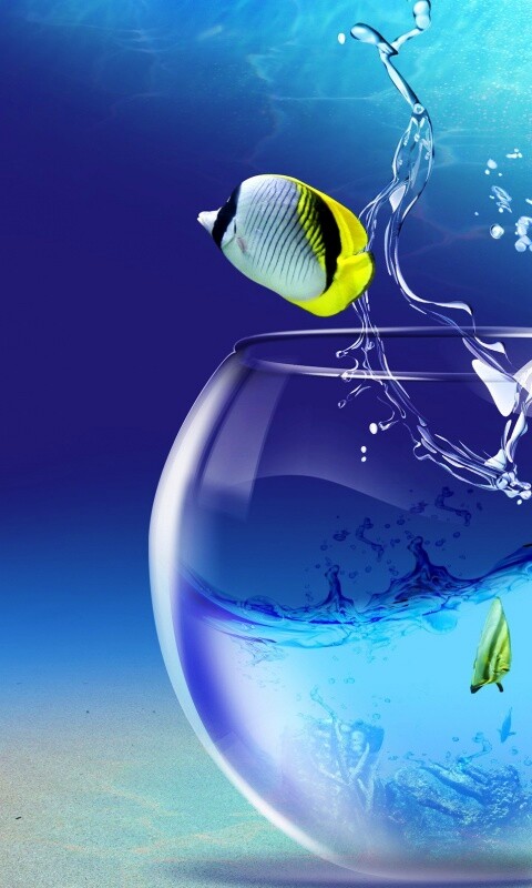 Аквариум с рыбками обои