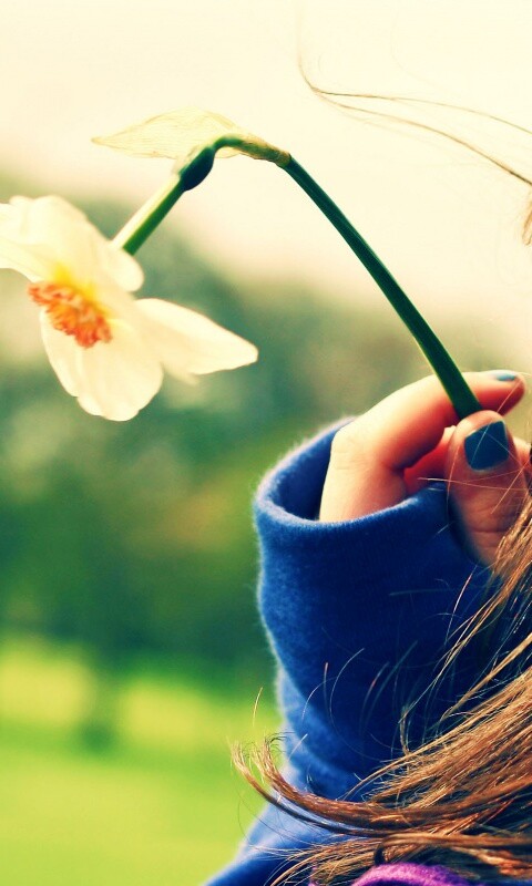 Девушка с нарциссом в руке обои