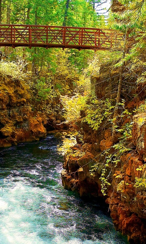 Мостик через реку в лесу обои