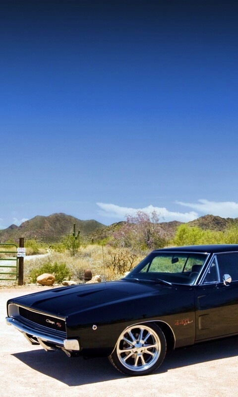 Мускулкар под палящим солнцем обои