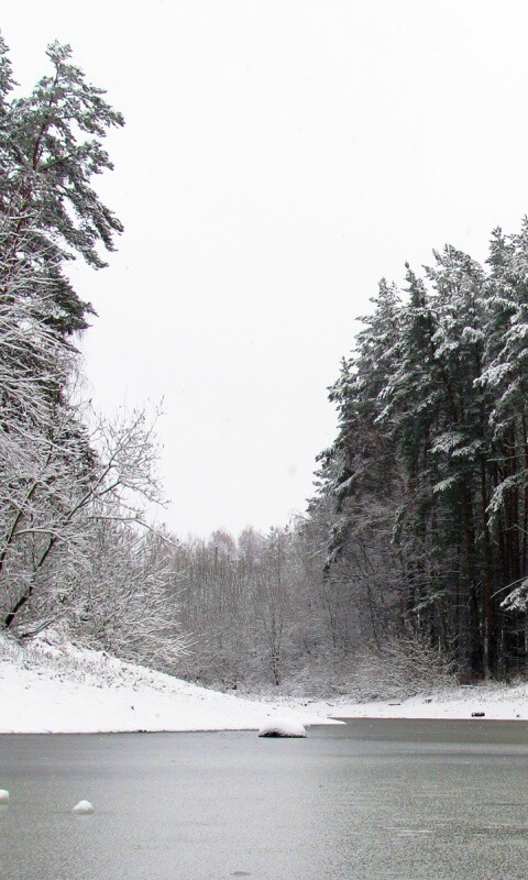 Зимняя дорога обои