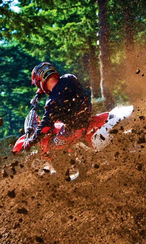 Моторалли обои