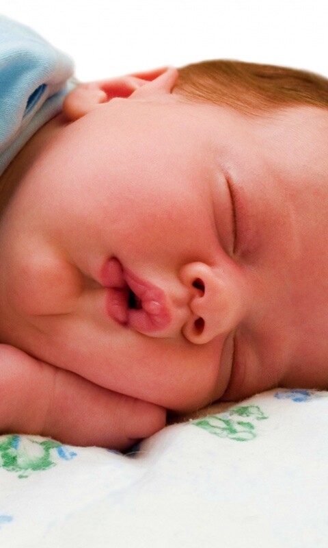 Спящая прелесть обои