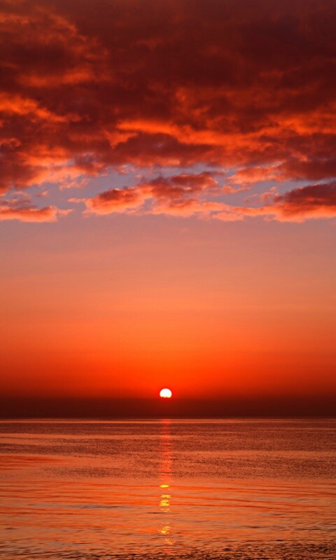 Багровый закат обои