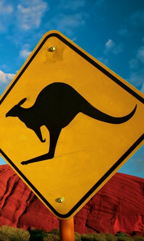 Осторожно, кенгуру! обои