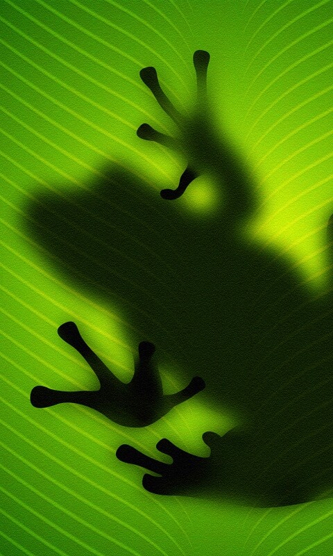 Силуэт лягушки просвечивает сквозь зеленый лист обои