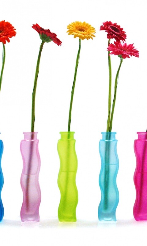 Герберы в изогнутых вазах обои