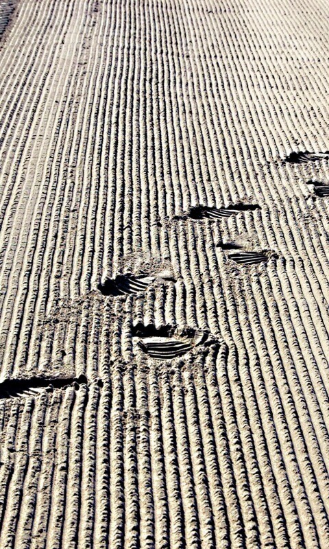 Следы на песке обои