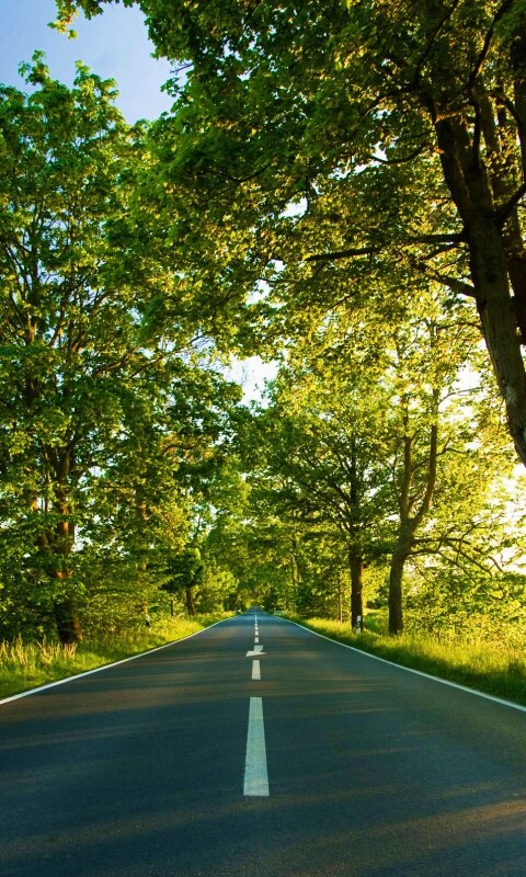 Прямая дорога обои