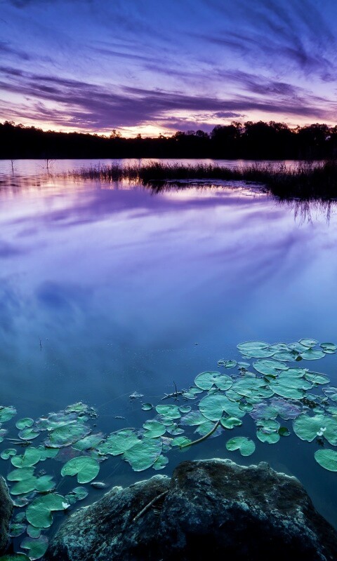 Озеро поздним вечером обои