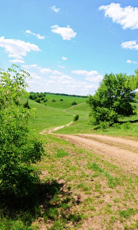 Просёлочная дорога обои