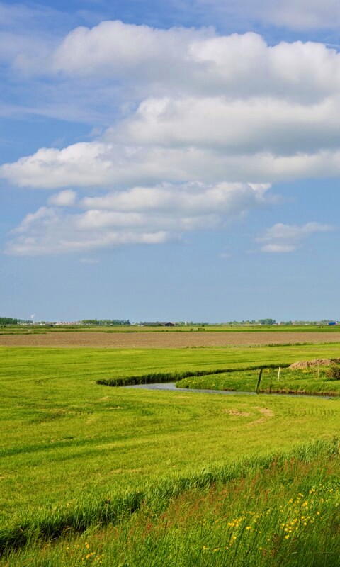 дом на лугу обои