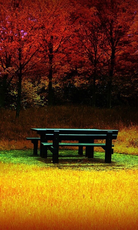 Осенние краски обои