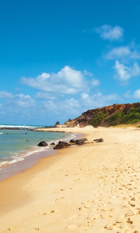 Туры в Бразилию в Лондрину обои