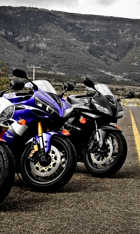 Раллийные мотоциклы на дороге обои