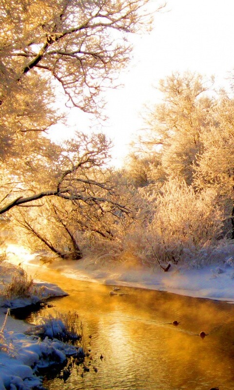 Зимняя река обои