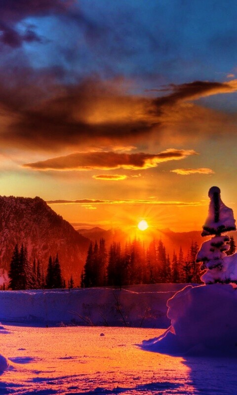 Зимнее солнце обои