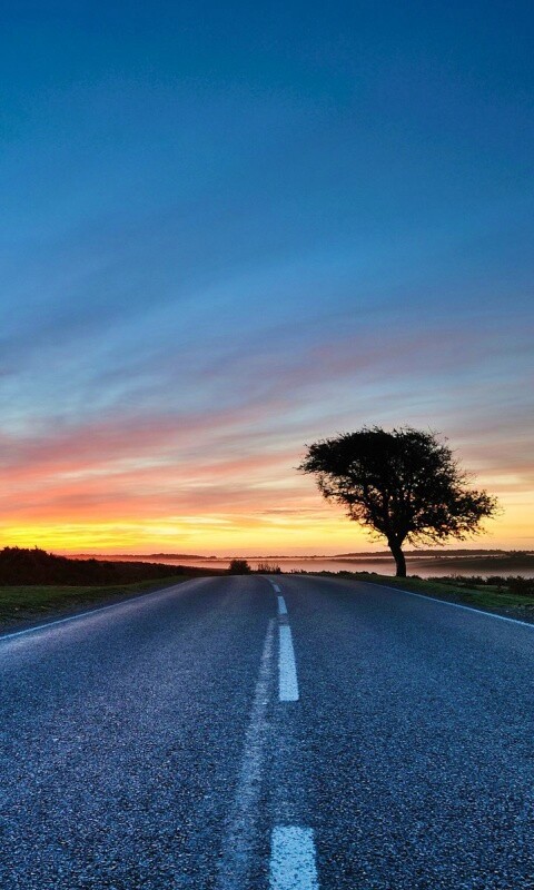 Дорога обои