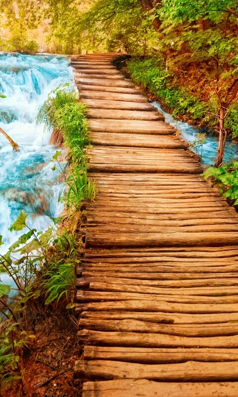 Деревянная дорожка над ручьем обои