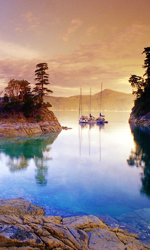 Яхты в заливе обои