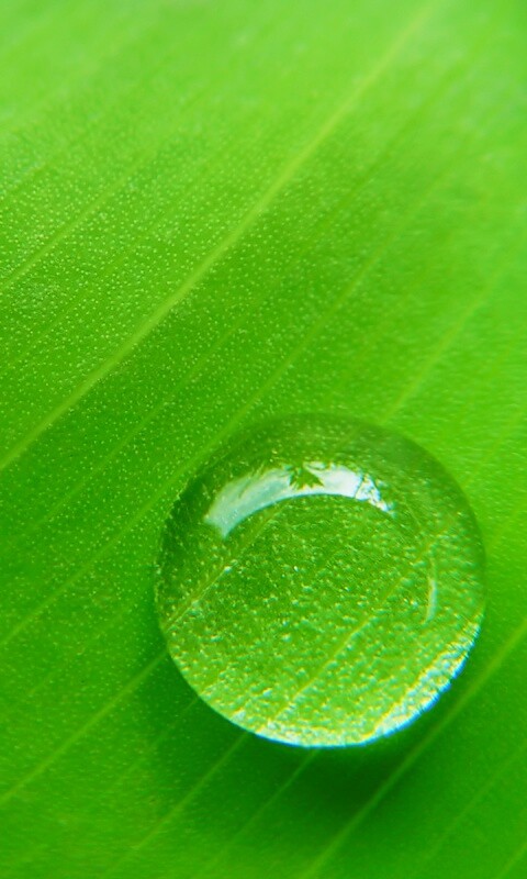 Одна капля обои