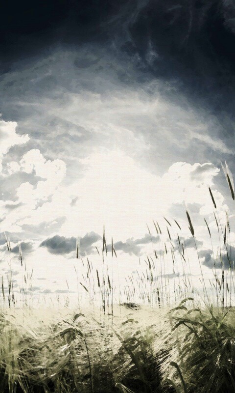 Сюрреалистичная трава обои