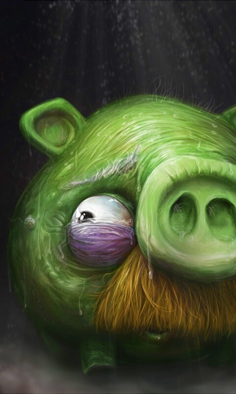 Свинья из Angry Birds обои