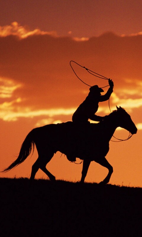 Силуэт ковбоя на закате обои