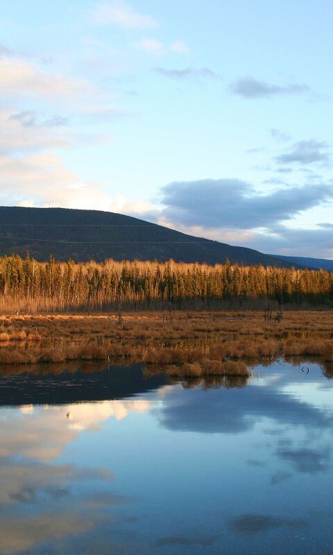 Осеннее озеро обои