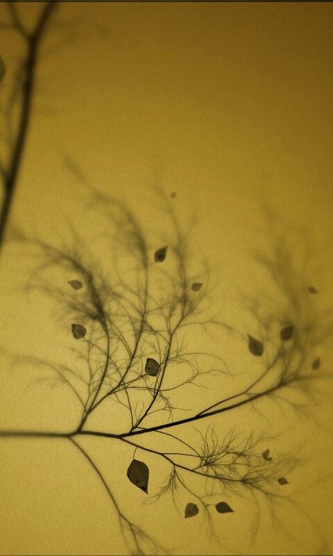 Это осень обои