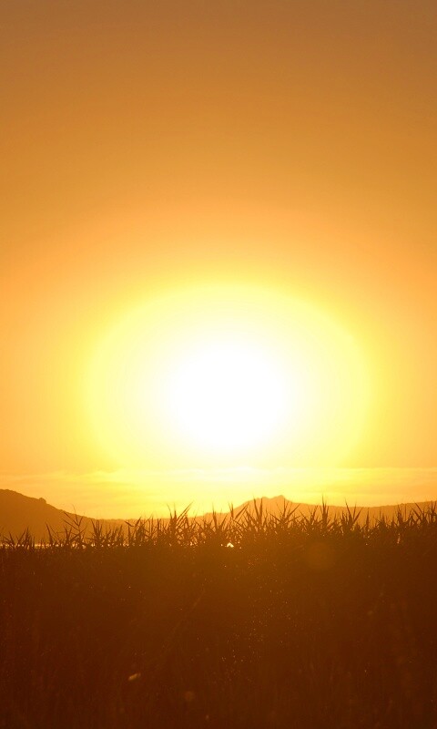 Сельский закат обои