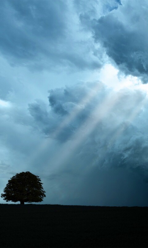 Избранный обои