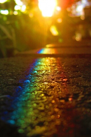 Макро радуга на камне обои