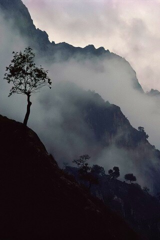 Сумерик в горах обои