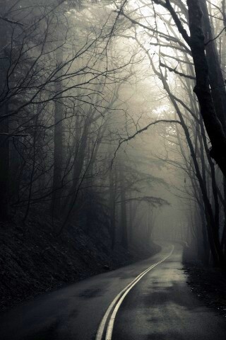 В туман обои