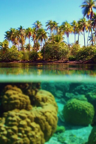 Из-под воды обои