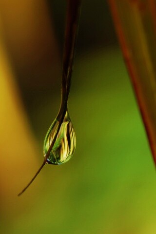 Стекающая капля обои