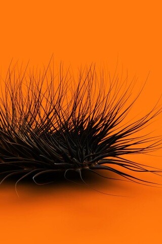 Волосатая мочалка обои