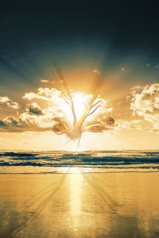 Абстрактные перья на фоне заката обои